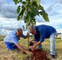 Saev Ambiental e Prefeitura de Votuporanga fazem plantio de mudas nativas em reserva ambiental