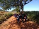 Saev e Polícia Ambiental fazem passeio ecológico com a Escola de Educação Passo a Passo de Votuporanga